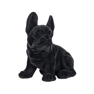 Dog Miro zwart (Black)